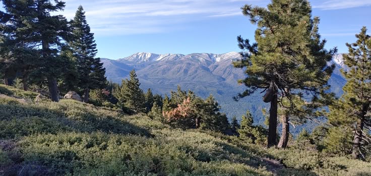 the wisest thing you can do is be a little dumb